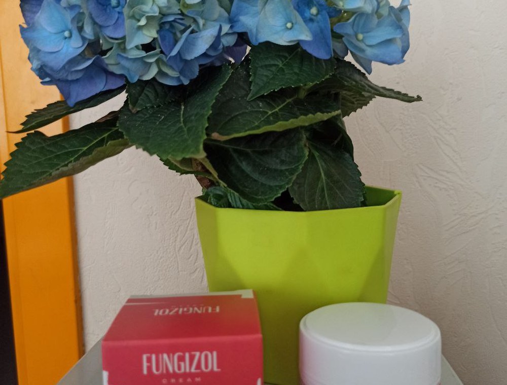 Fungizol до цветя